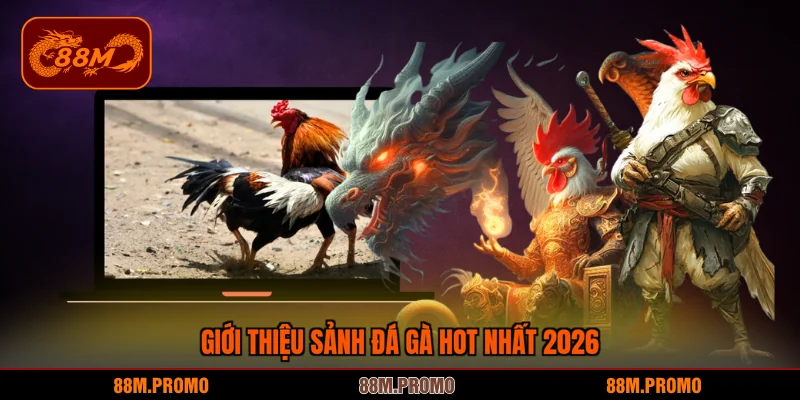 Giới thiệu sảnh đá gà hot nhất 2026