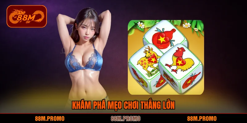 Khám phá bầu cua nguồn gốc cùng sức hút